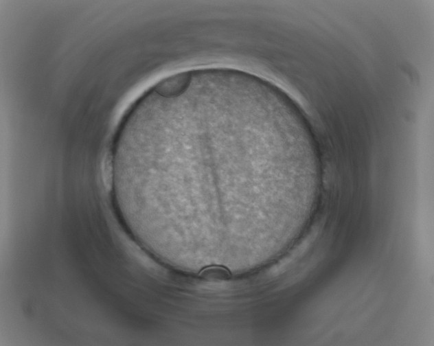 X0000113781510200910211154