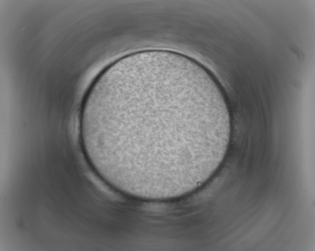 X0000113781511200910211154