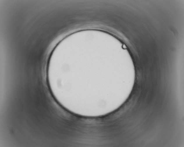 X0000113781512200910211154