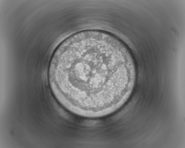 X0000113781513200910211154