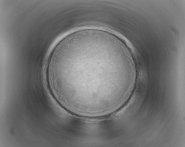 X0000113781514200910211154