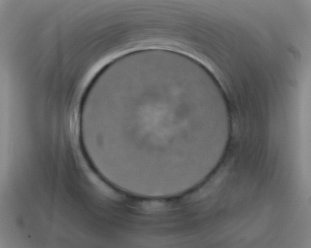 X0000113781515200910211154