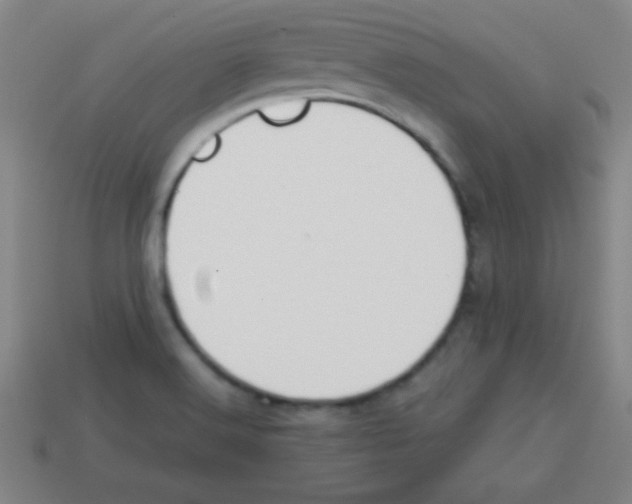 X0000113781516200910211154