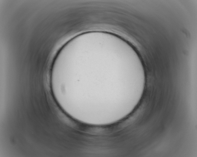 X0000113781517200910211154