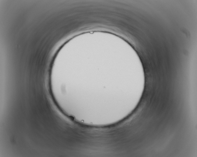 X0000113781518200910211154