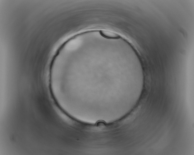 X0000113781519200910211154