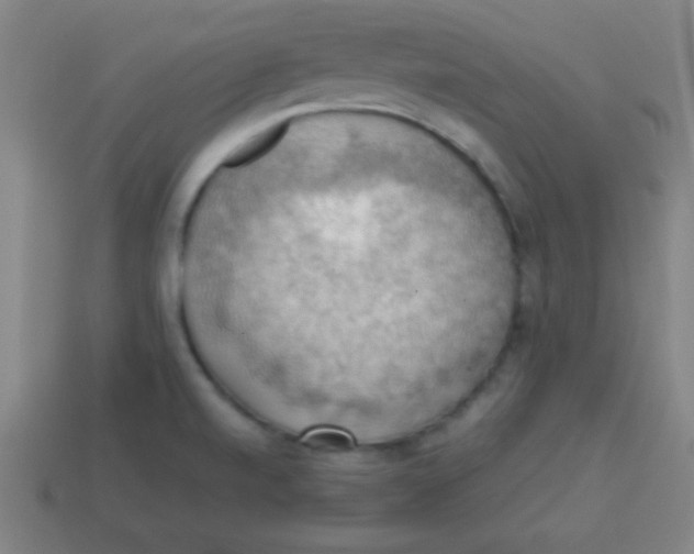 X0000113781520200910211154