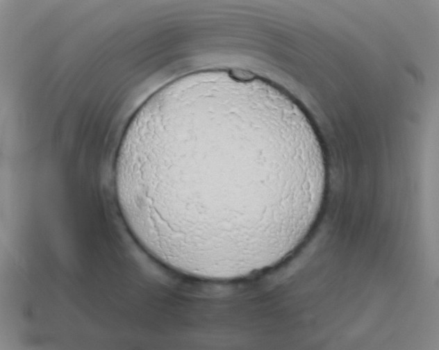 X0000113781521200910211154