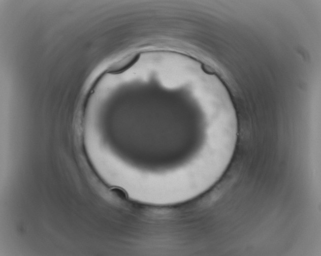 X0000113781522200910211154