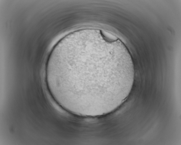 X0000113781523200910211154