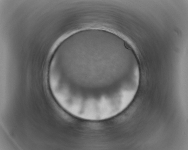 X0000113781525200910211155