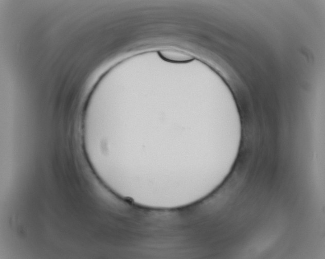 X0000113781526200910211155