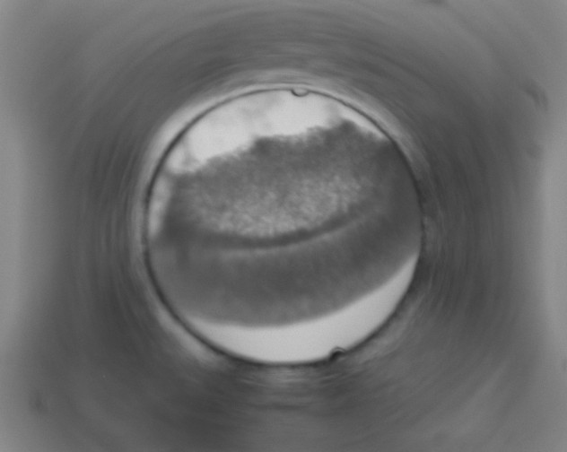 X0000113781527200910211155