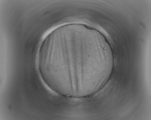 X0000113781528200910211155