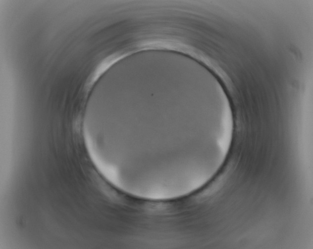 X0000113781529200910211155