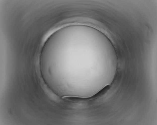 X0000113781530200910211155