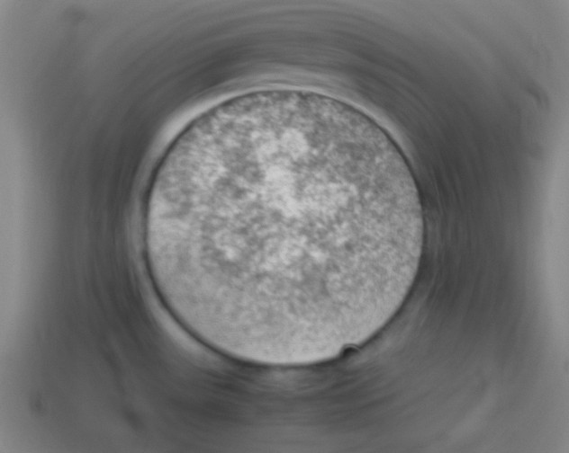 X0000113781531200910211155