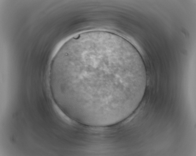 X0000113781532200910211155