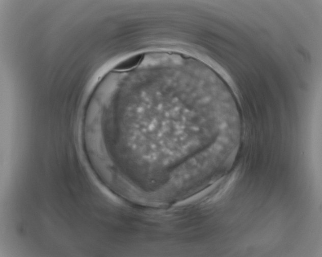 X0000113781533200910211155