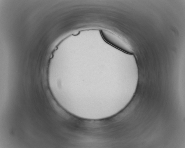 X0000113781534200910211155