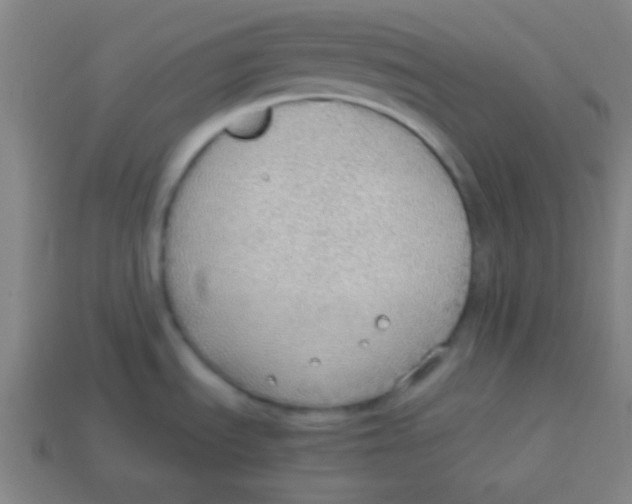 X0000113781535200910211155