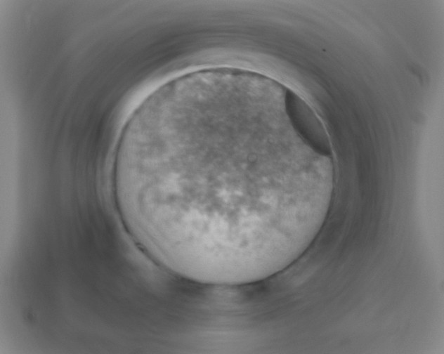 X0000113781536200910211155