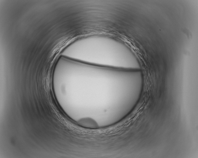 X0000113850002200909241015