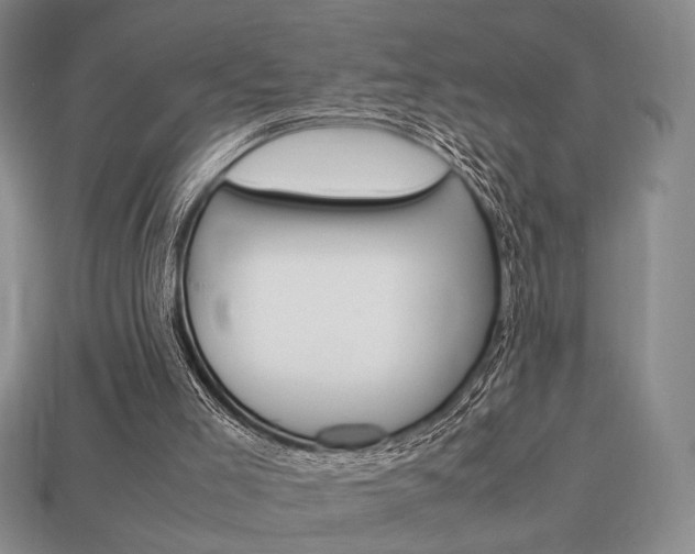 X0000113850005200909241015