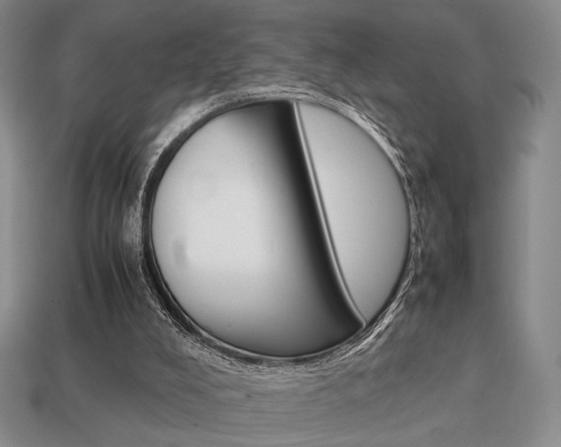 X0000113850008200909241015