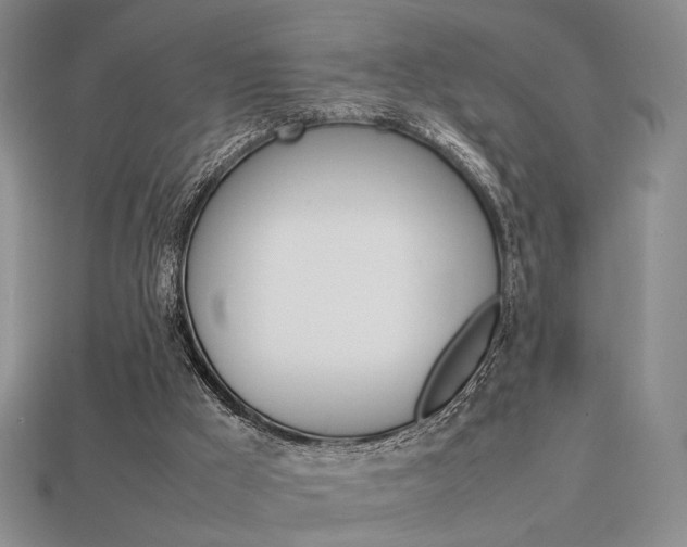 X0000113850009200909241015