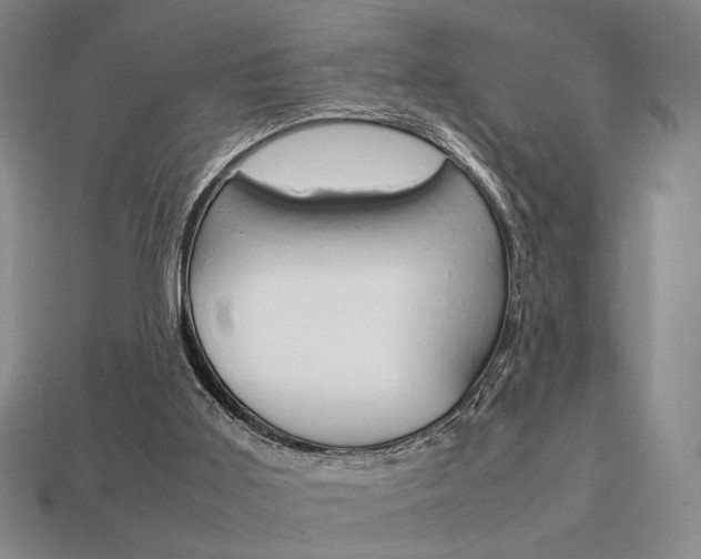 X0000113850011200909241015