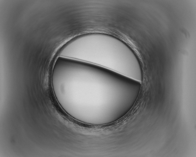 X0000113850012200909241015