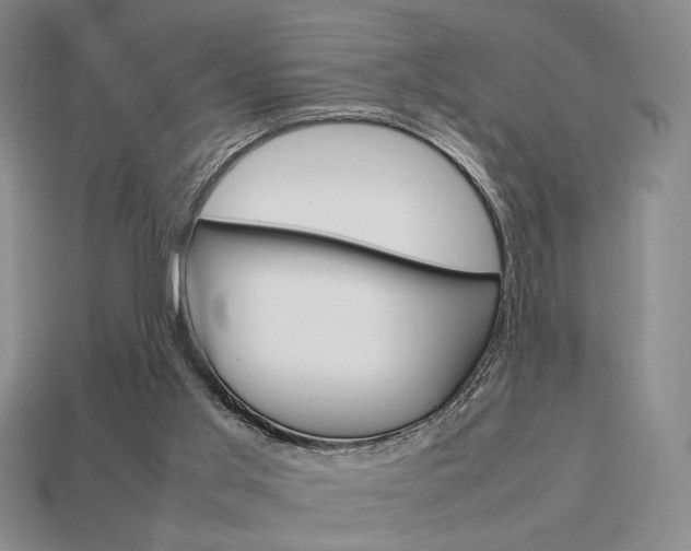 X0000113850013200909241015