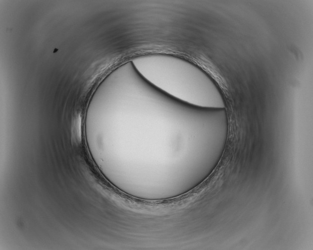 X0000113850014200909241015