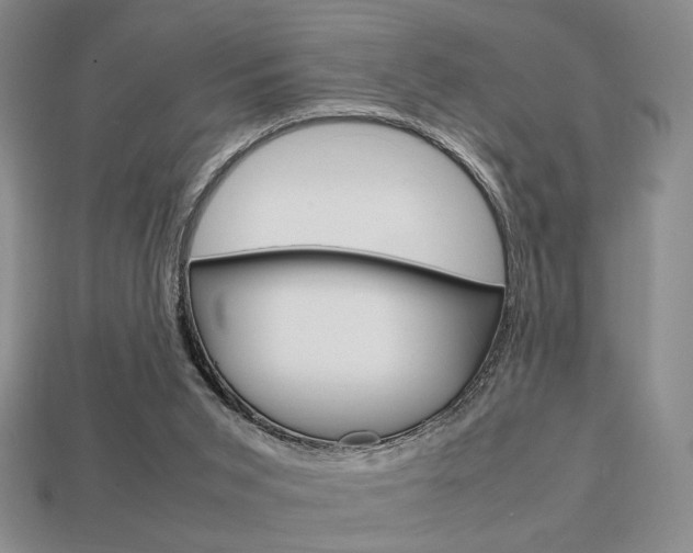 X0000113850015200909241014