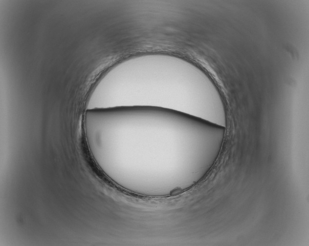 X0000113850019200909241014