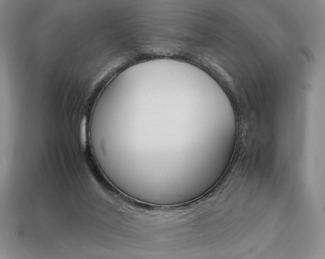 X0000113850020200909241014