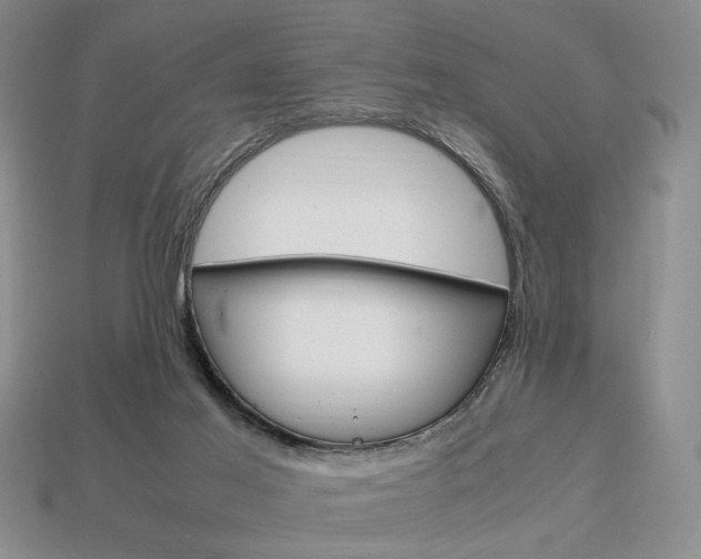 X0000113850021200909241014