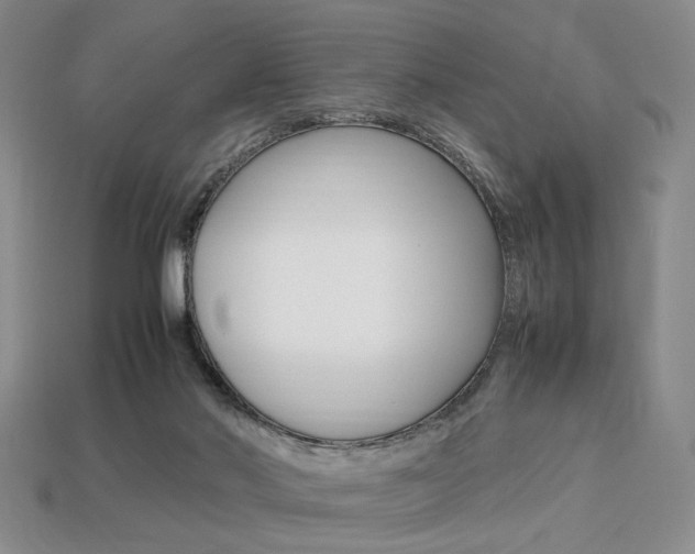 X0000113850022200909241014