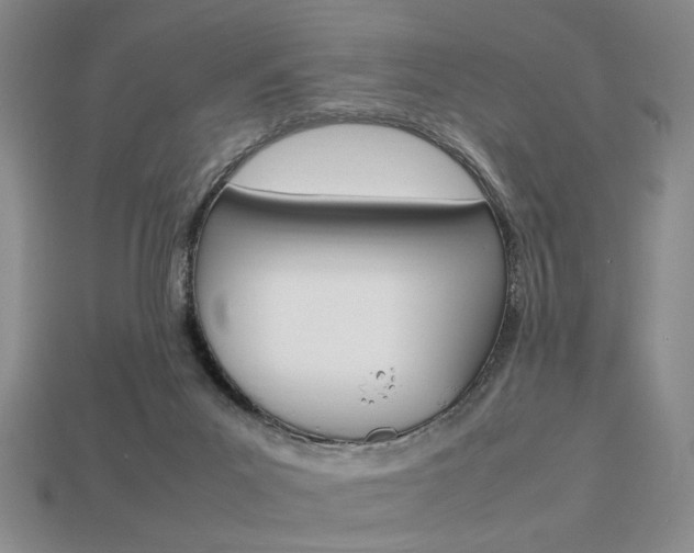 X0000113850023200909241014