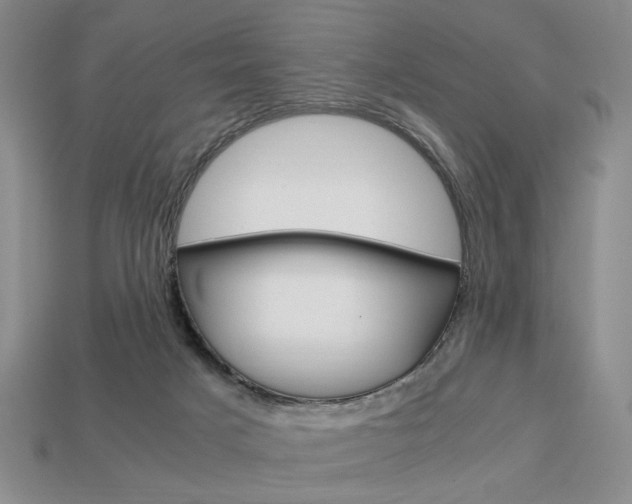 X0000113850025200909241014