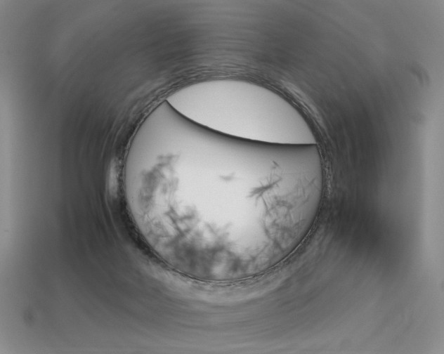 X0000113850026200909241014