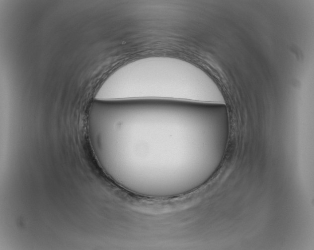 X0000113850029200909241014