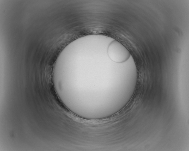 X0000113850030200909241014