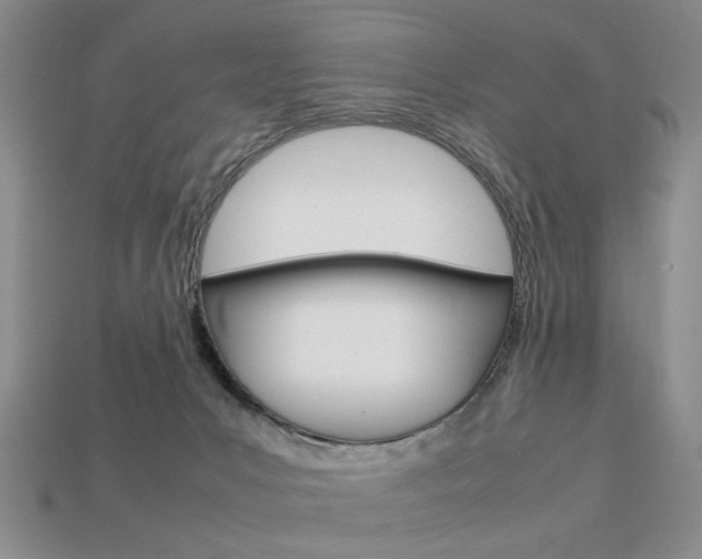 X0000113850031200909241014