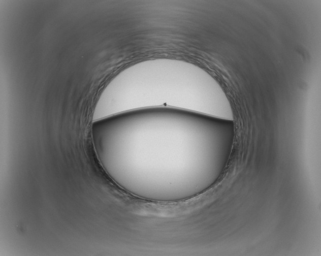 X0000113850033200909241014