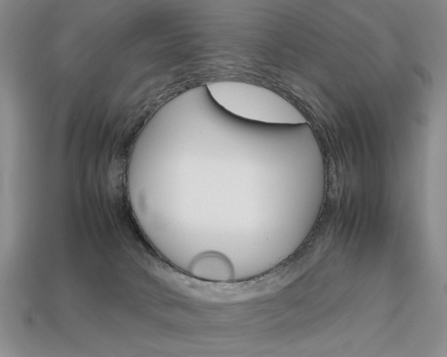 X0000113850034200909241014