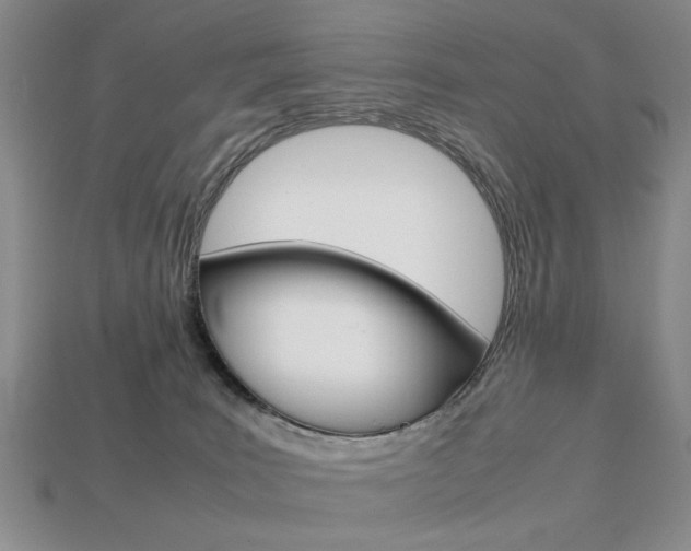 X0000113850035200909241014