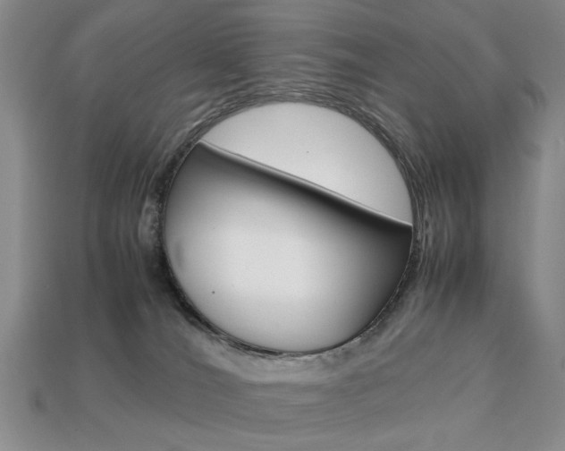 X0000113850036200909241014