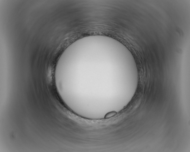 X0000113850038200909241014